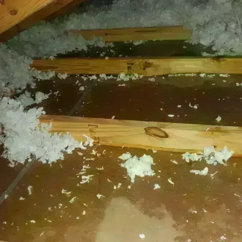 Attic Water Damage in Brownsville, NY